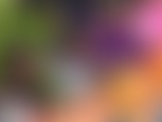 Program and Activities Coordinator