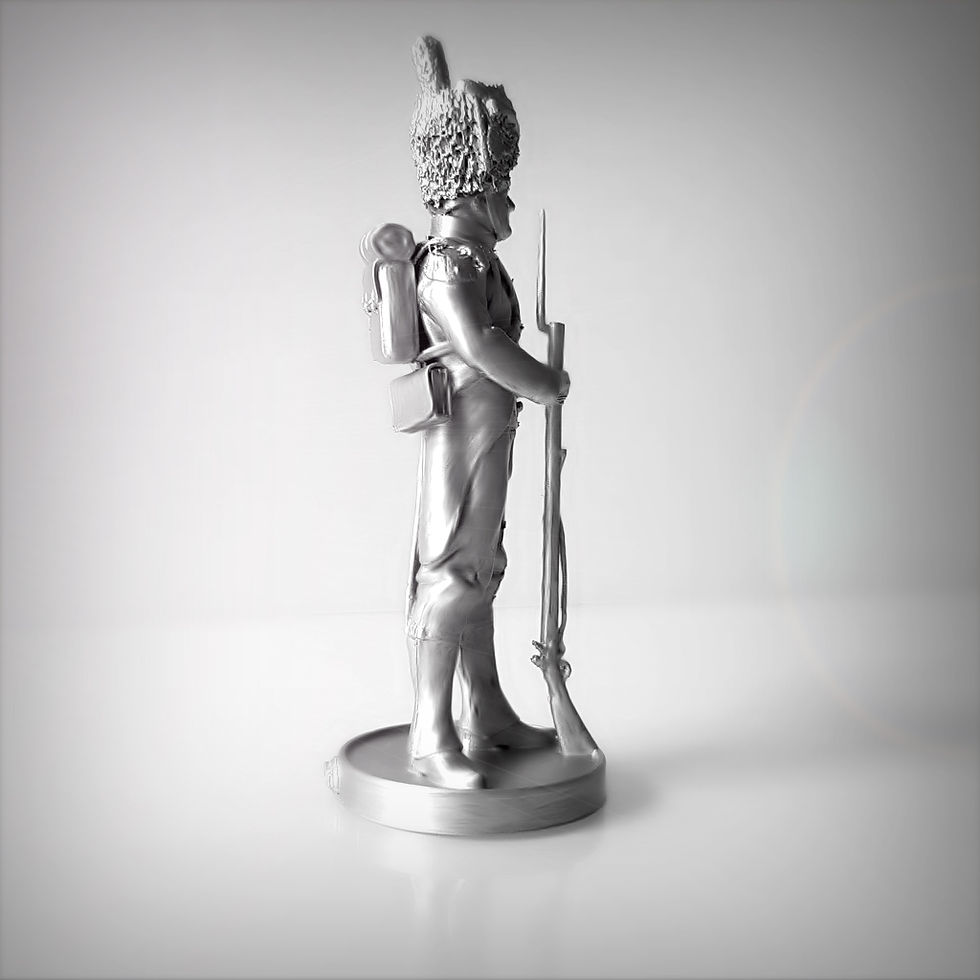 Thumbnail: Imperial guard