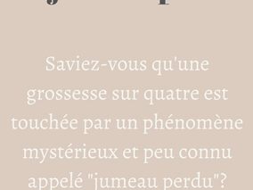 Le jumeau perdu
