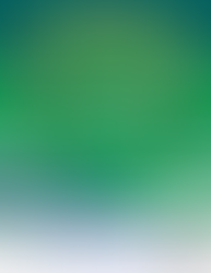 Issaquah Chamber Candidate Forum 9/25