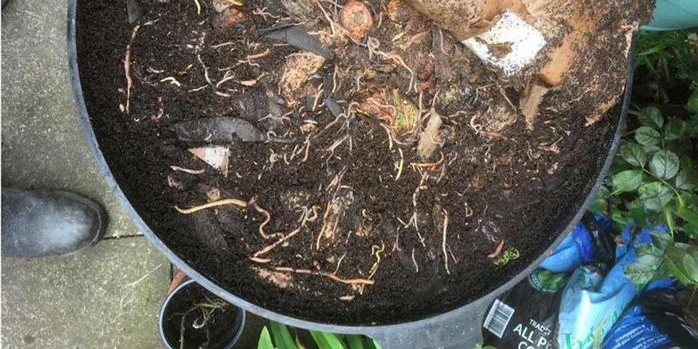 Wiggly wonders - Worms and composting (Free)