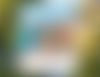 Revolutionizing the Hospitality Industry through Social Media for Vacation Rentals