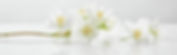 AdobeStock_276296160.jpeg