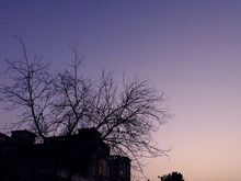 DSCF0959 - ed small.jpg