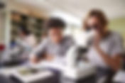 GCSE Biology tutoring
