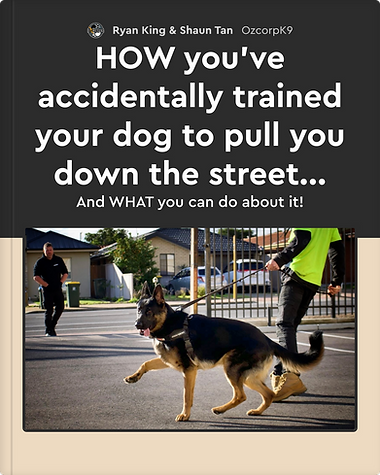 HOW you've accidentally trained your dog to pull you down the street...-cover (1) copy.png