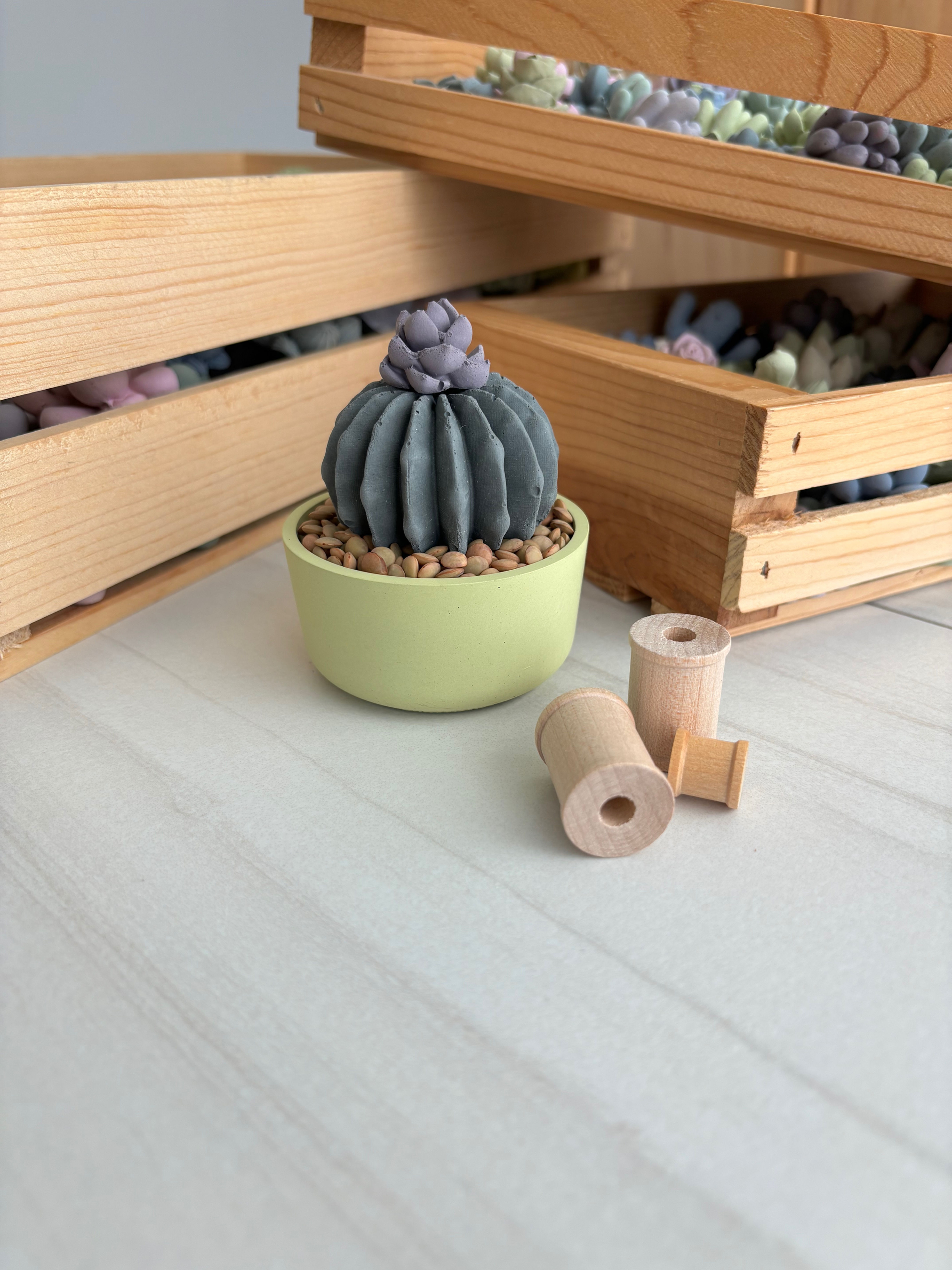 Tiny Concrete Round Cactus Garden