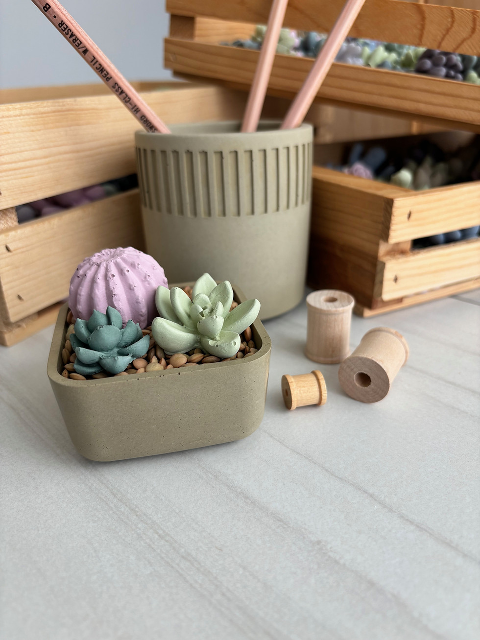 Thumbnail: Tiny Concrete Square Cactus Garden