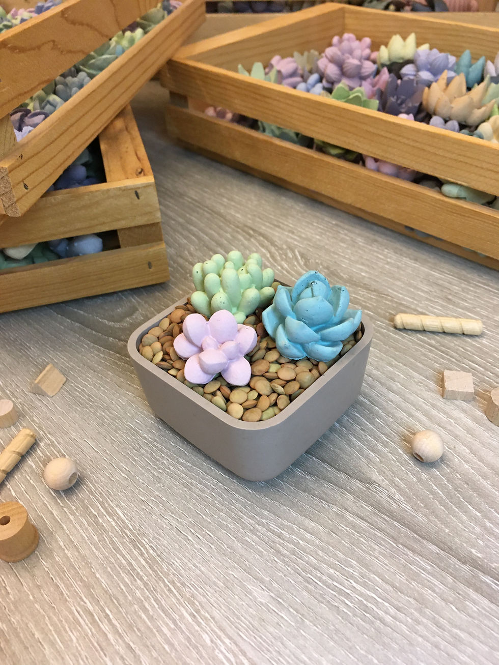 Thumbnail: Tiny Concrete Square Cactus Garden