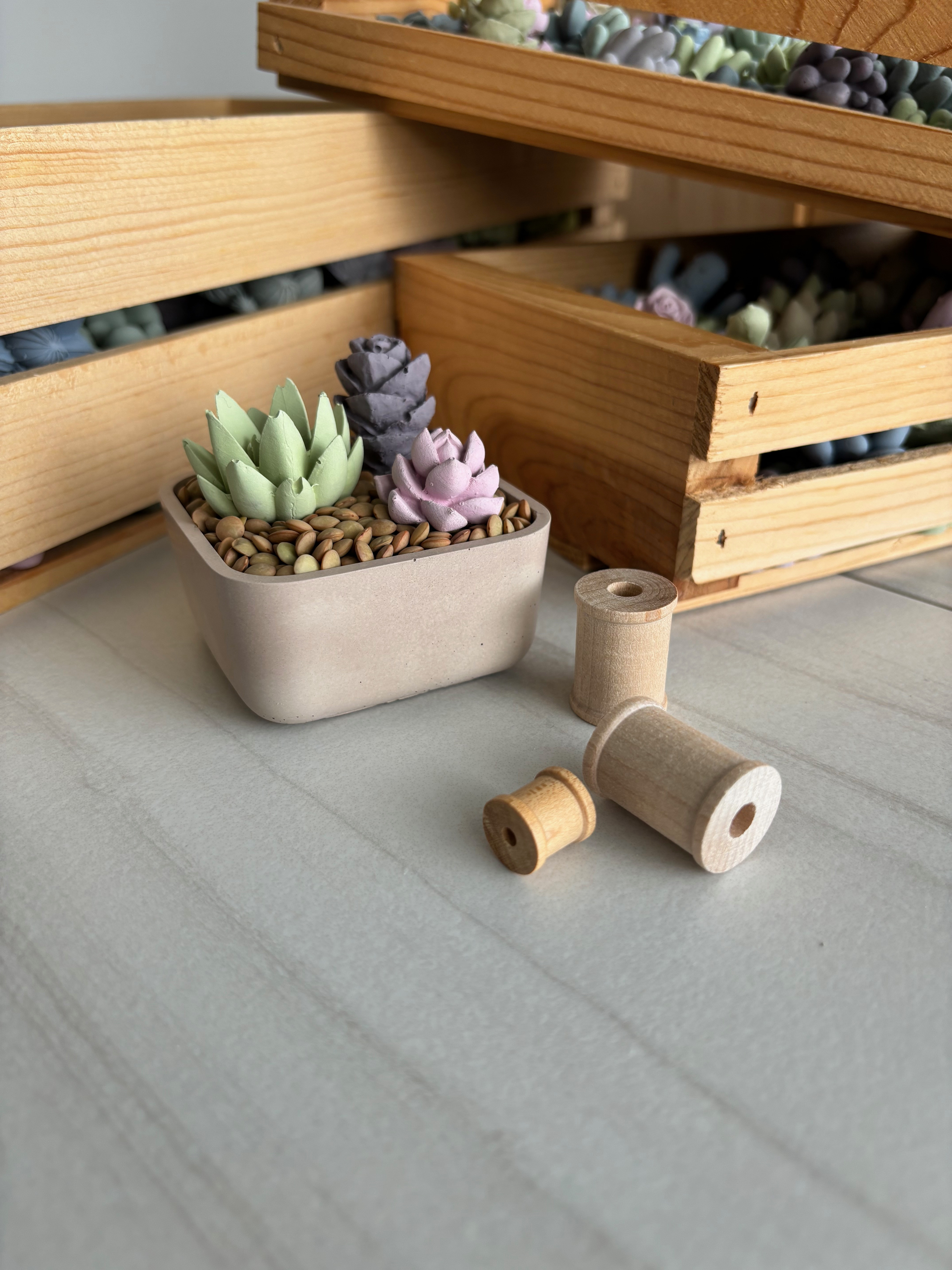 Tiny Concrete Square Cactus Garden