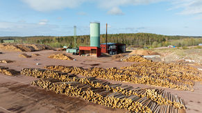 ÅLANDS SKOGSINDUSTRIER AB HALVÅRSÖVERSIKT JANUARI-JUNI 2025 (JÄMFÖRT MED JANUARI-JUNI 2024)