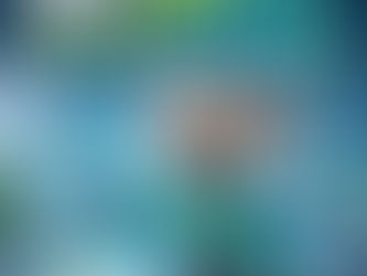 🧩WhatsApp Plus est là : faut-il vraiment payer ?