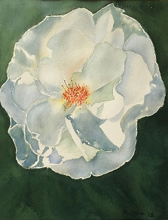 WhiteFlower1.jpeg