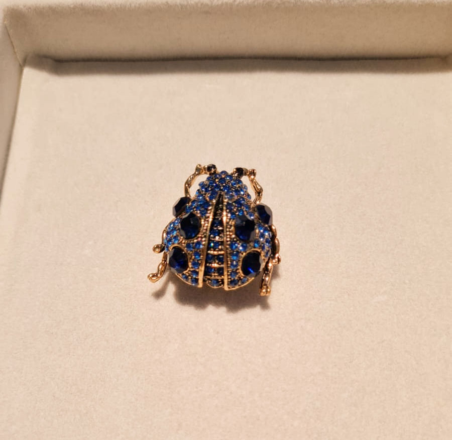 Miniatura: Broche de Imã Joaninha Média