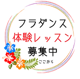 2フラダンス 体験レッスン 募集中!.png