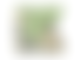 Sammlung “Die fast perfekte Frau”