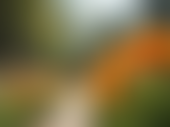 Maximize Property Value