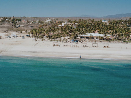 Pickleball Camp - Cabo 2025