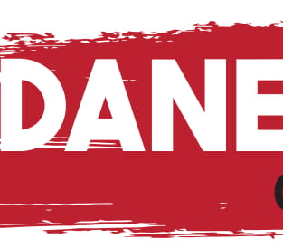 Dane Simpson Logo.png