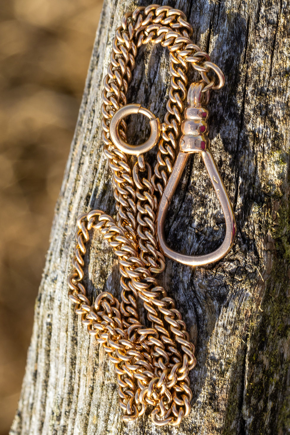 サムネイル： Antique 14ct Gold Curb Chain with Oversized Austro-Hungarian Dog Clip