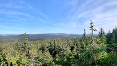 Gaspésie - Mont Ells et Du Milieu
