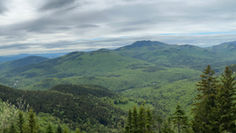 NH - Table Mtn