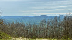 Catskill - Bearpen and Vly Mtn