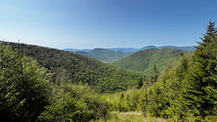 Vermont - Dorset Mtn