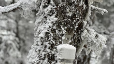 Maine - Elephant Mtn