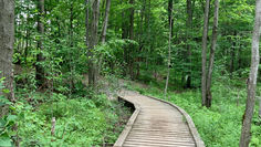 Estrie - Mont Oak