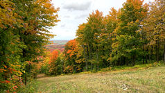 Tingwick - Mont Gleason