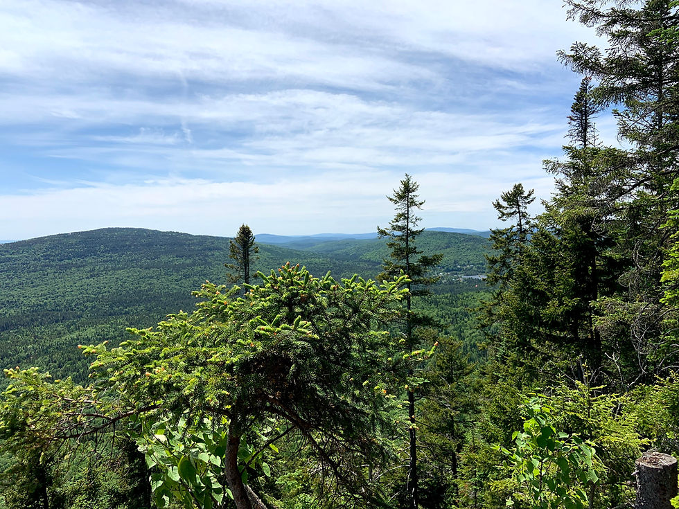 Ste-Brigitte-de-Laval - Montagne à Tremblay