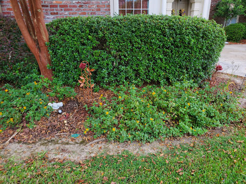 Russ Lawn Maintenance