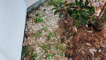 Russ Lawn Maintenance - Before