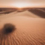 traveling to a desert at sunset using geo location astrology