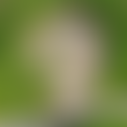 Uncover the mystery of the luxury mountain mansion