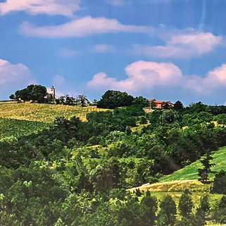 19_Paesaggio collinare