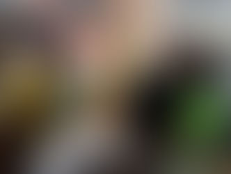 Labakcare October 2016 International Mission