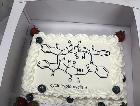 Molecule Celebrations4_Cyctetraptmycins.jpg