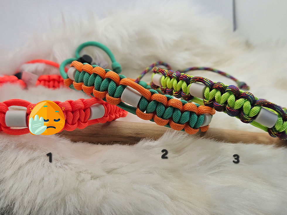 collier anti tique naturel pour chien