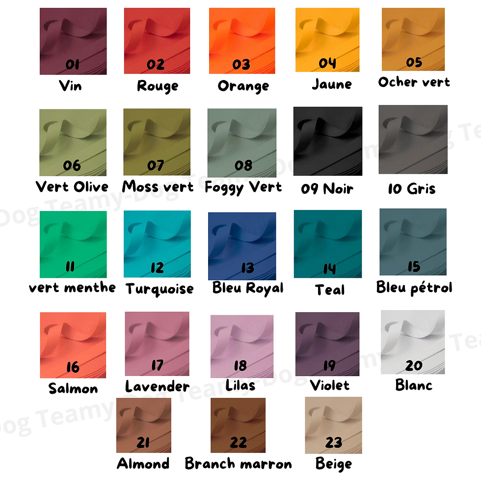 23 couleurs de sangle enduite pour accessoires chien
