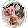 Teamy-Dog (2)_edited.jpg