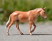 Älg J-mini.JPG