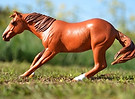 R. Shadee Ladee-mini.JPG