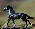 Devraja-mini1.JPG