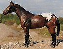 Oklahoma Dalia-mini.jpg