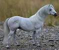 Nebulosa-mini.JPG