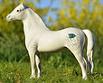 Nerwyn Osprey-mini.JPG