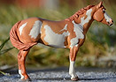 R. Shine Iceman Shine-mini.JPG