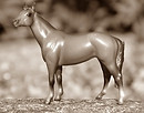 Africa sepia-mini.JPG